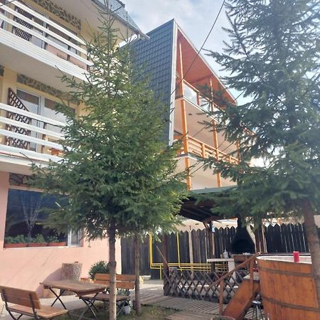 Mountain View Apartment Buşteni Exterior foto