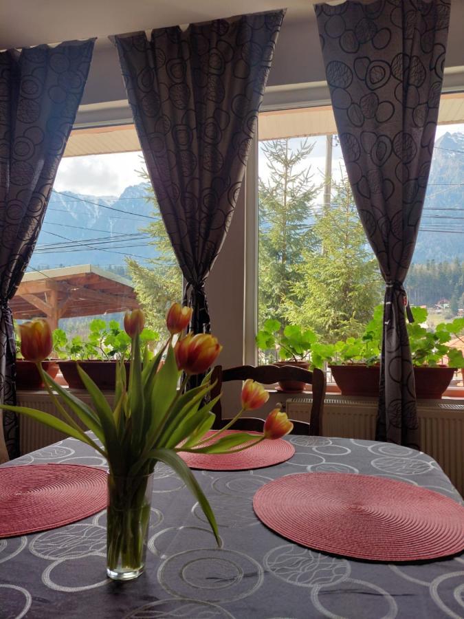 Mountain View Apartment Buşteni Exterior foto