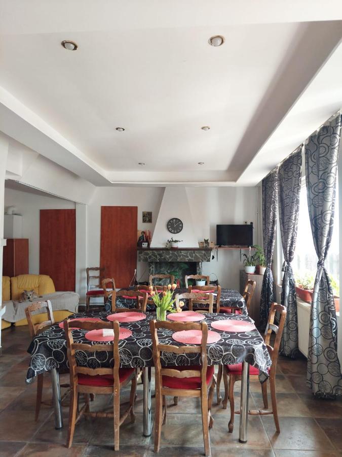 Mountain View Apartment Buşteni Exterior foto